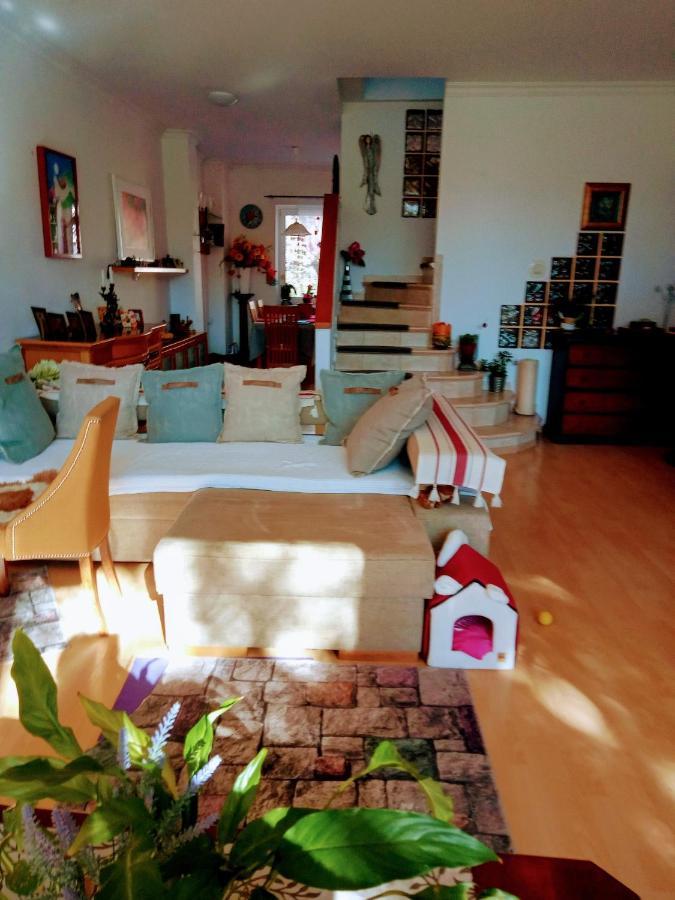 Villa Victoria Mosonmagyaróvár エクステリア 写真