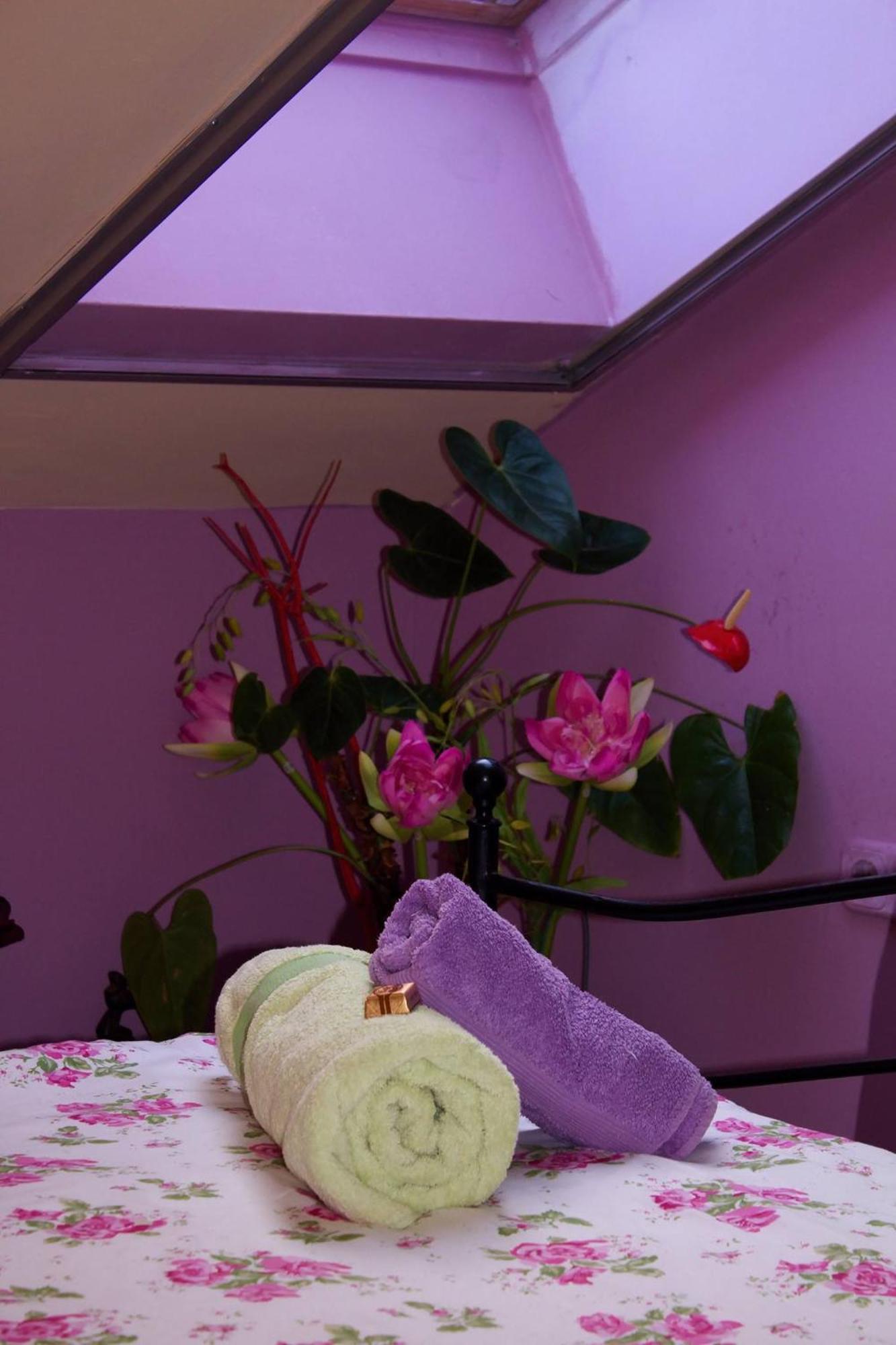 Villa Victoria Mosonmagyaróvár エクステリア 写真