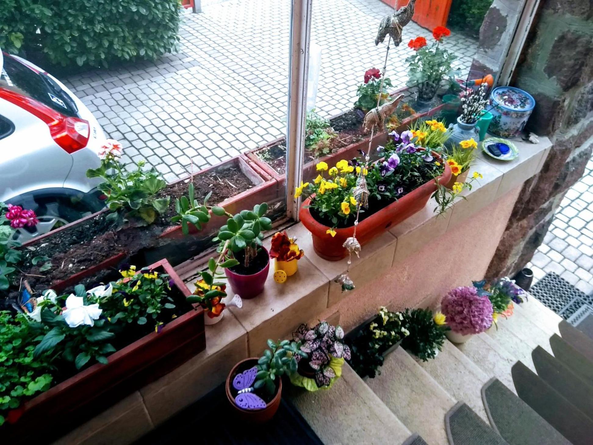 Villa Victoria Mosonmagyaróvár エクステリア 写真