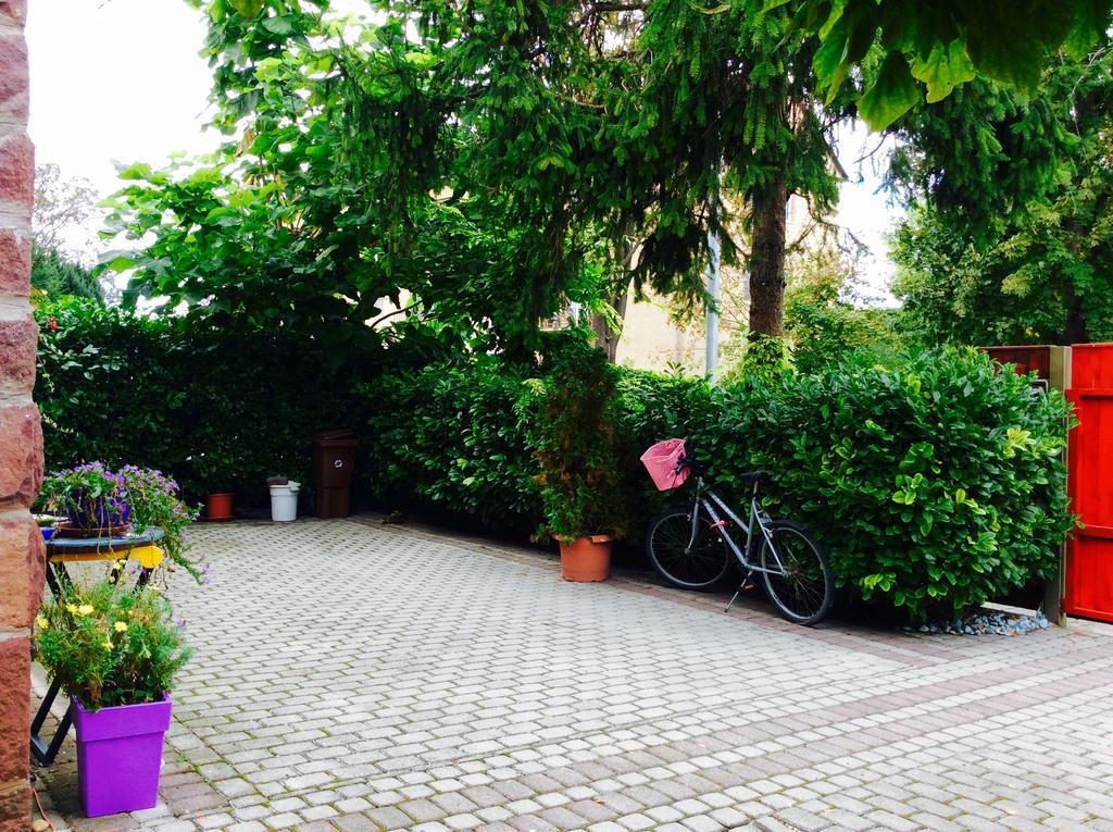 Villa Victoria Mosonmagyaróvár エクステリア 写真